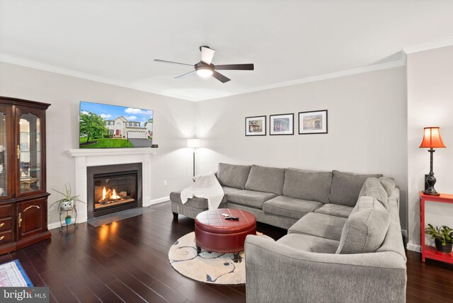 20355 Snowpoint Pl, Ashburn, VA 20147 - living room with ceiling fan, hardwood / wood-style floors, crown molding, a fireplace with flush hearth, and baseboards