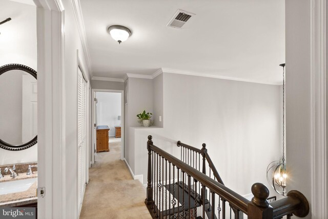 20355 Snowpoint Pl, Ashburn, VA 20147 - corridor featuring an upstairs landing, light carpet, a sink, ornamental molding, and baseboards
