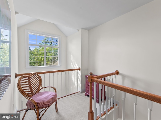 37 Sussex St, Rehoboth Beach, DE 19971 - sitting room featuring an upstairs landing, carpet flooring, and vaulted ceiling