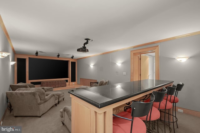 home theater with light colored carpet and crown molding