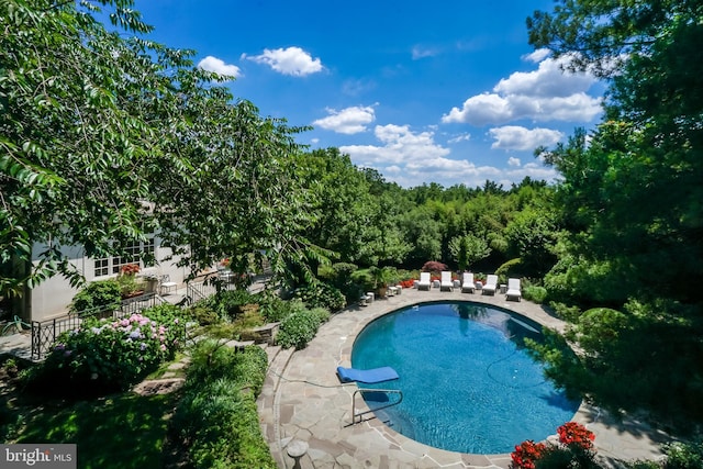 outdoor pool featuring a patio