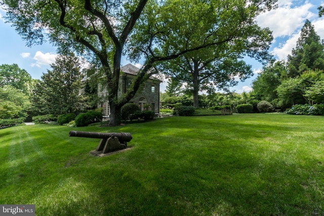 view of grassy yard