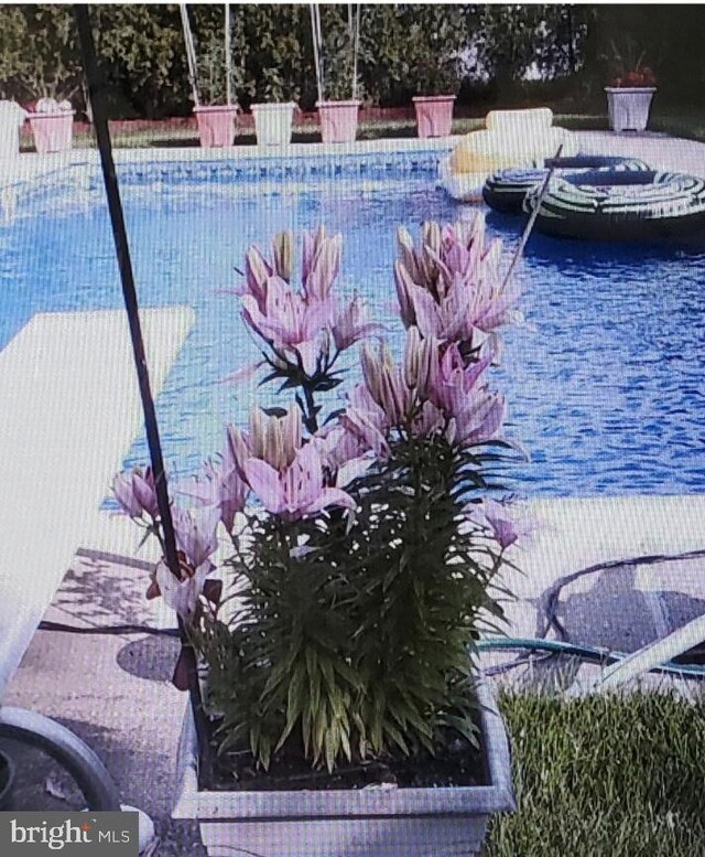 145 Arbor Meadow Dr, Sicklerville, NJ 08081 - view of pool