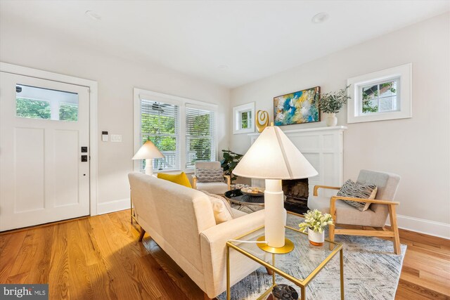 203 Spring Ave, Takoma Park, MD 20912 - living room with plenty of natural light, baseboards, and light wood-style flooring