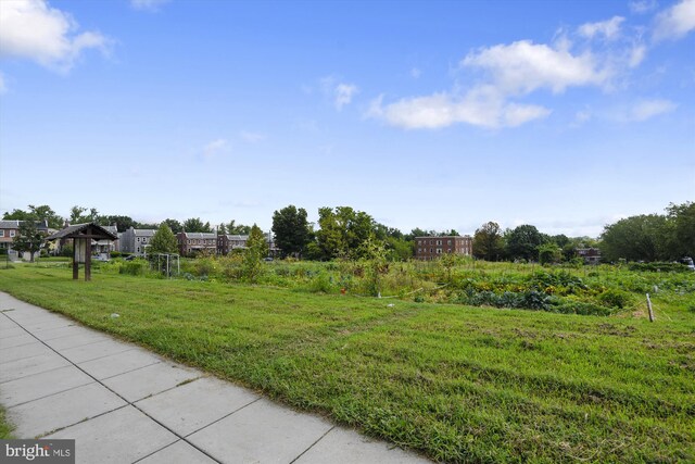203 Spring Ave, Takoma Park, MD 20912 - view of yard