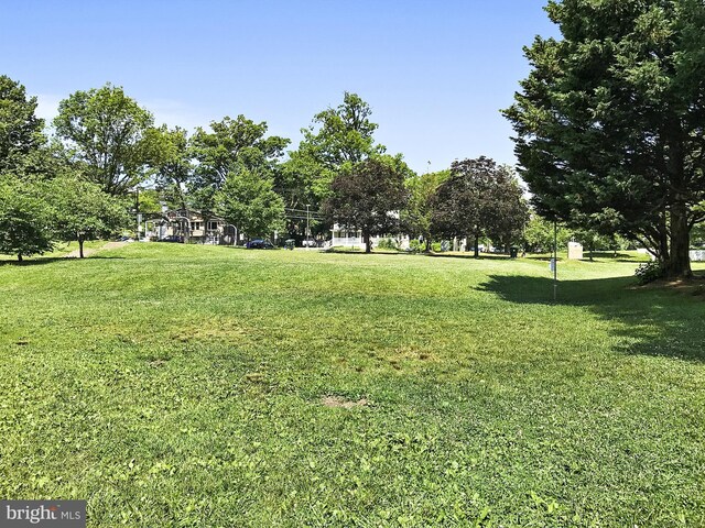 203 Spring Ave, Takoma Park, MD 20912 - view of property's community featuring a lawn