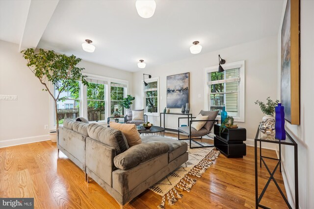 203 Spring Ave, Takoma Park, MD 20912 - living room with wood finished floors, healthy amount of natural light, and baseboards