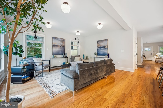 203 Spring Ave, Takoma Park, MD 20912 - living room featuring light wood-style floors and baseboards