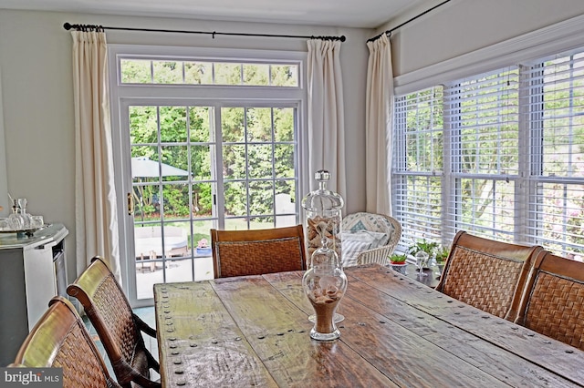 dining space featuring plenty of natural light