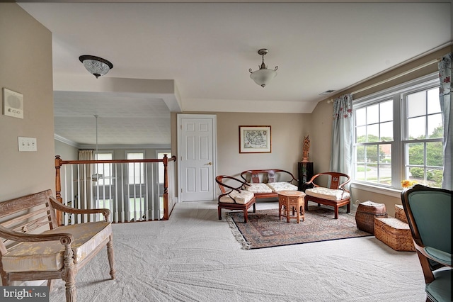 sitting room with carpet floors