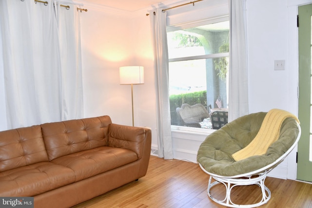 living room with wood finished floors