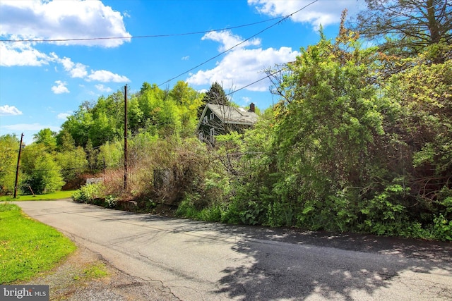 15 St Paul St, Shenandoah, PA 17976 - view of asphalt road