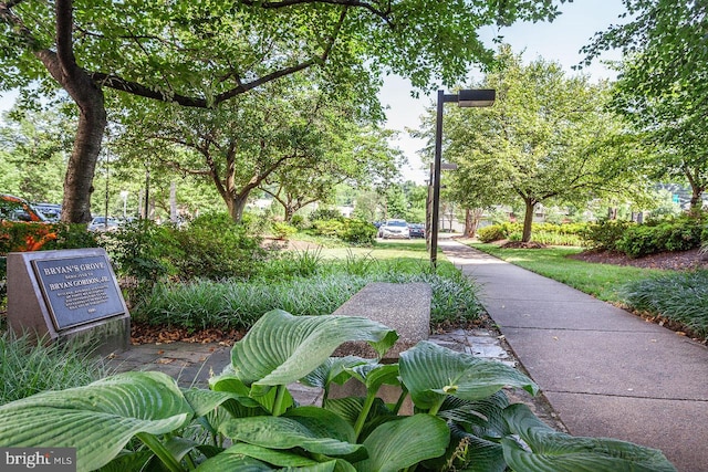 4600 Duke St Unit 512, Alexandria, VA 22304 - view of home's community
