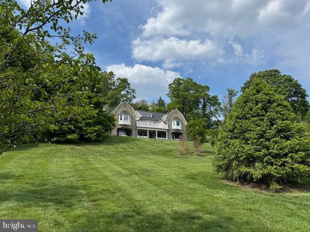 view of grassy yard