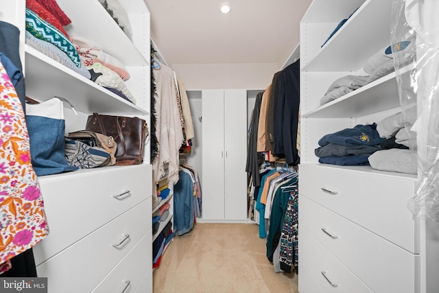 355 Dillon Cir, Middletown, DE 19709 - spacious closet featuring light colored carpet