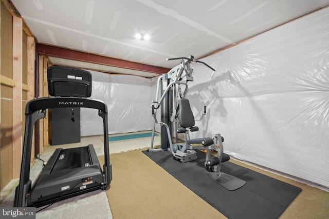 355 Dillon Cir, Middletown, DE 19709 - exercise room featuring carpet floors