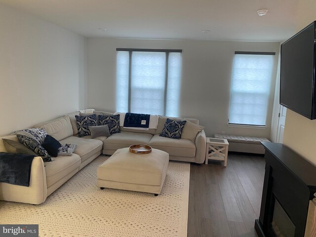 living area with wood finished floors