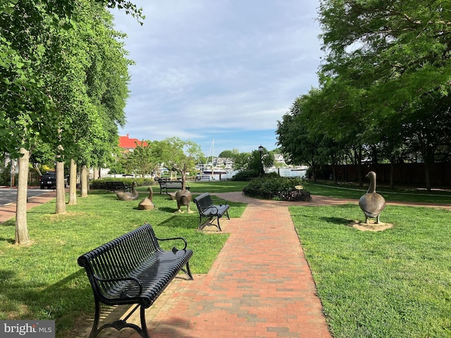 66 Franklin St Unit 307, Annapolis, MD 21401 - view of community featuring a lawn