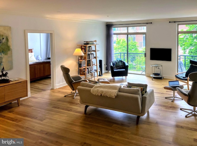 66 Franklin St Unit 307, Annapolis, MD 21401 - living area with ornamental molding, wood finished floors, and baseboards