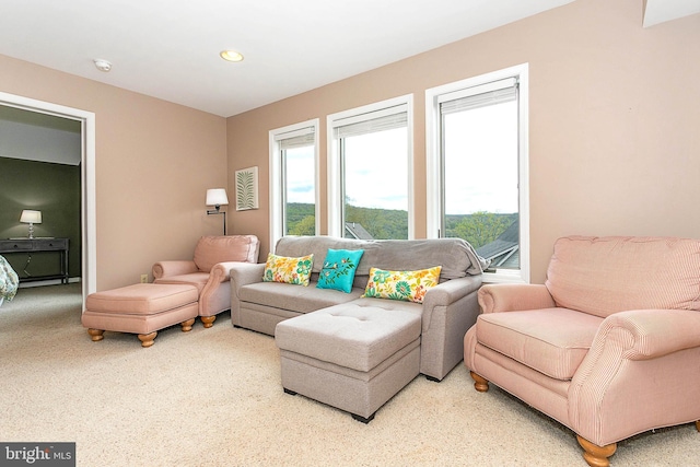 175 Roman Ridge Rd Unit 15, Oakland, MD 21550 - living room featuring carpet flooring and recessed lighting