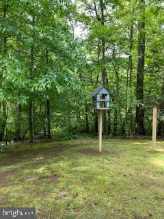 586 Wild Flower Glade, Annapolis, MD 21409 - view of green lawn with a forest view