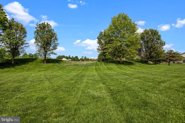 view of yard featuring a sport area and a rural view