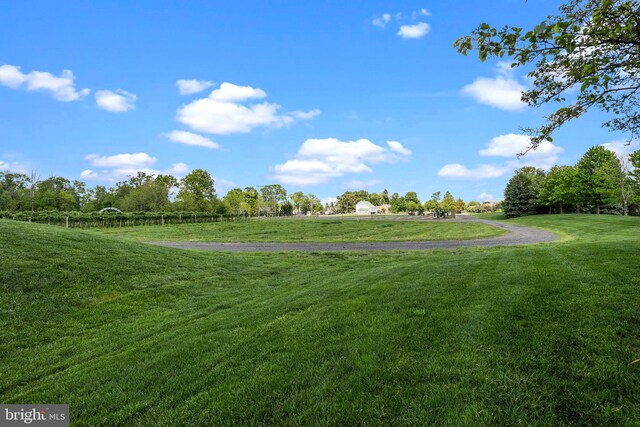 view of home's community with a lawn