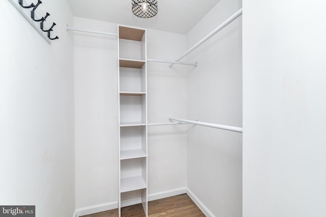 203 Shenandoah Rd, Cinnaminson, NJ 08077 - walk in closet featuring wood finished floors