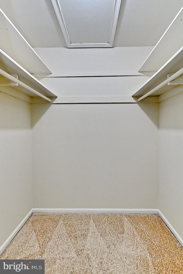 4785 Catterick Ct, Fairfax, VA 22032 - walk in closet with carpet floors