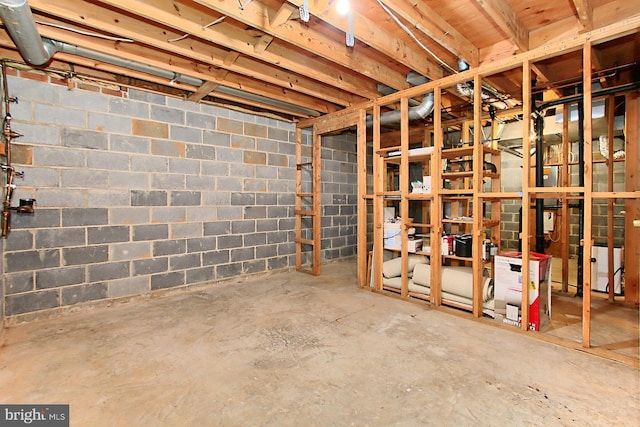 4785 Catterick Ct, Fairfax, VA 22032 - view of unfinished below grade area