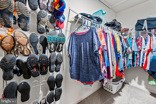 walk in closet featuring carpet floors
