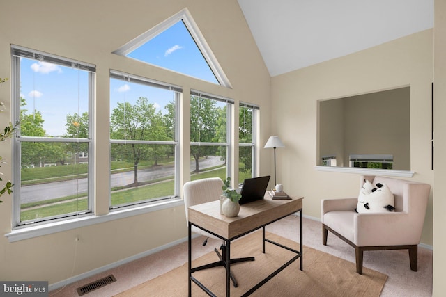 7617 Stony Creek Ln, Ellicott City, MD 21043 - home office featuring carpet floors, vaulted ceiling, and baseboards