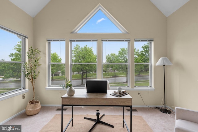 7617 Stony Creek Ln, Ellicott City, MD 21043 - office featuring vaulted ceiling, carpet flooring, plenty of natural light, and baseboards