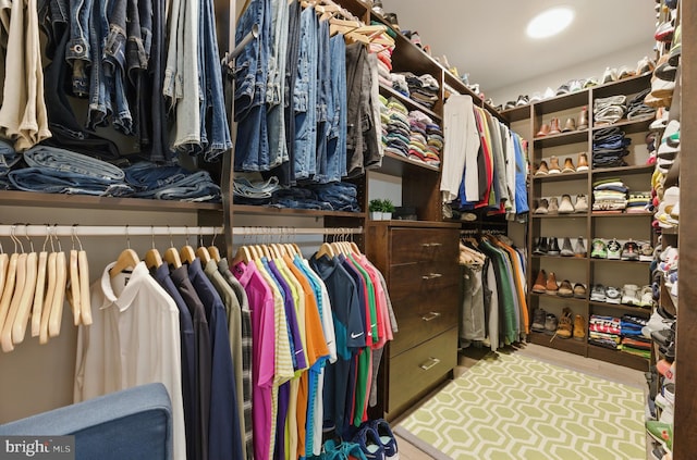 23650 Havelock Walk Ter Unit 303, Ashburn, VA 20148 - view of spacious closet
