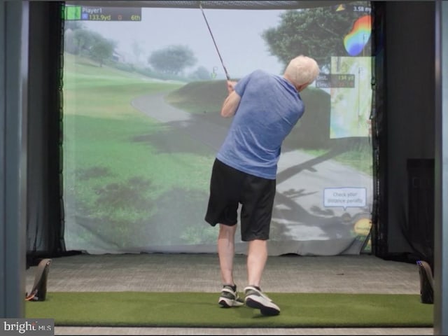 23650 Havelock Walk Ter Unit 303, Ashburn, VA 20148 - detailed view of golf simulator