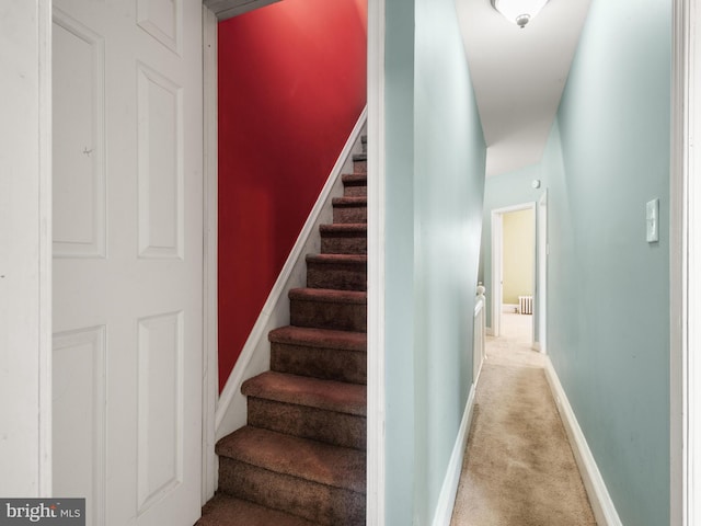 556 W Walnut St, Pottstown, PA 19464 - stairs featuring carpet floors and baseboards