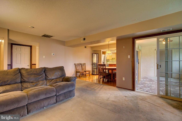 102 Harvest Ln Unit 207, Phoenixville, PA 19460 - living area with carpet flooring and a textured ceiling