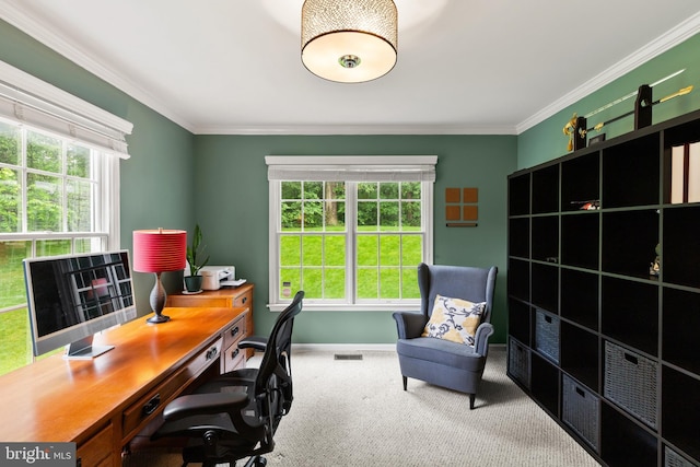 7071 Garden Walk, Columbia, MD 21044 - carpeted office space featuring ornamental molding, plenty of natural light, and baseboards