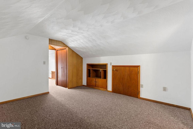 449 Carlisle St, Hanover, PA 17331 - additional living space with lofted ceiling, carpet floors, baseboards, and a textured ceiling