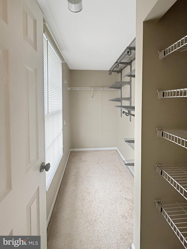 7 E Hart St, Winchester, VA 22601 - walk in closet with carpet