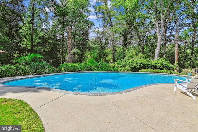 7912 Glengary Ct, Glen Burnie, MD 21061 - swimming pool with a patio