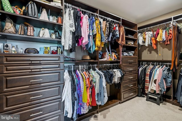 42004 Donnington Pl, Ashburn, VA 20148 - spacious closet with carpet flooring