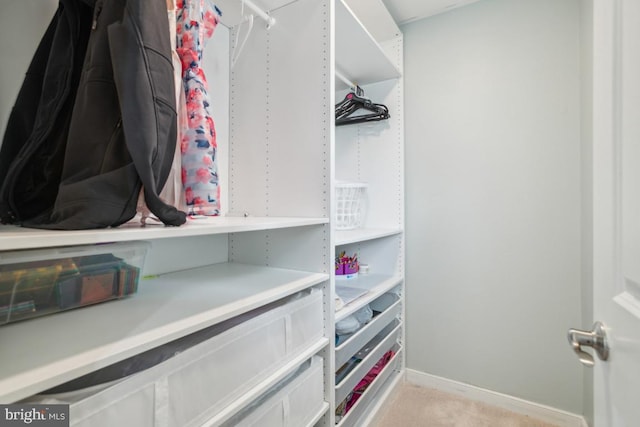 42004 Donnington Pl, Ashburn, VA 20148 - spacious closet featuring light colored carpet