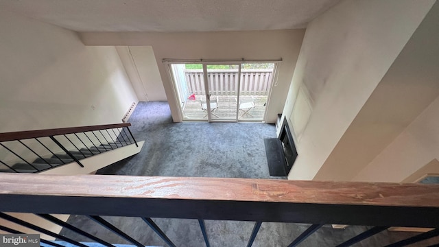 staircase with carpet