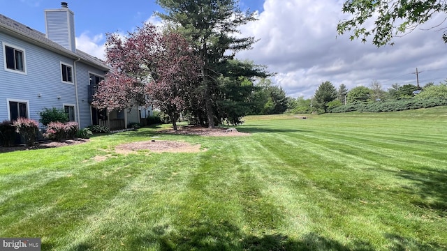 view of grassy yard