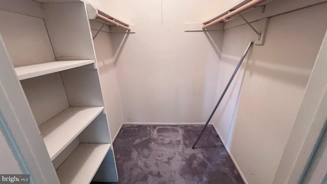 walk in closet featuring carpet