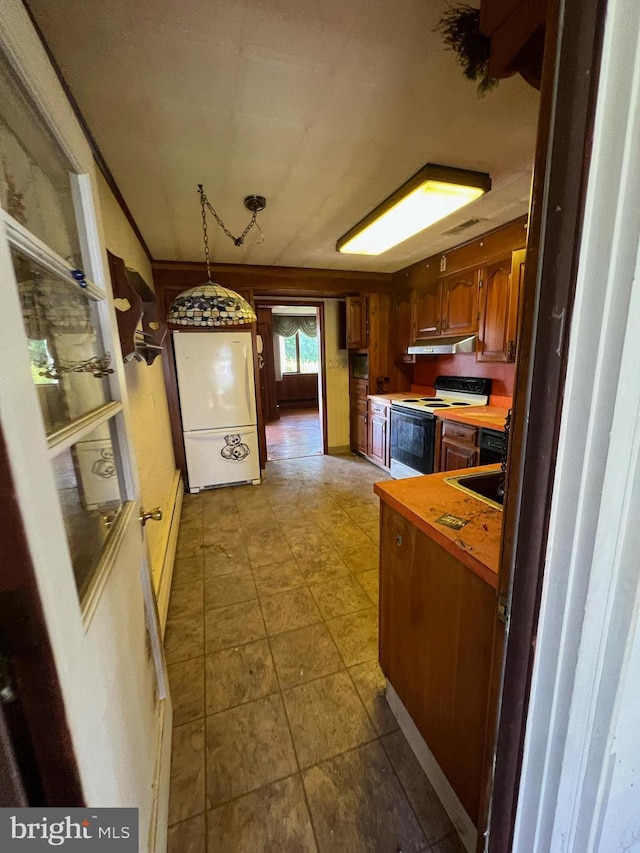 301 Ohio St, Boswell, PA 15531 - kitchen with white appliances, under cabinet range hood, brown cabinetry, a sink, and butcher block countertops