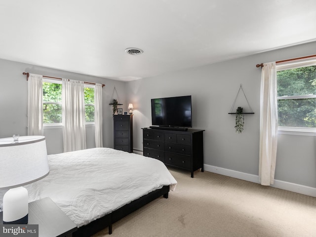 51 Seminary Rd, Glenmoore, PA 19343 - bedroom featuring multiple windows, baseboards, and carpet floors