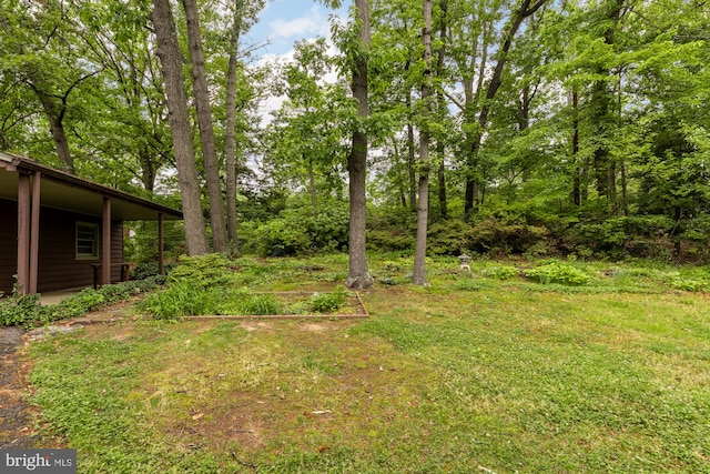 6008 Hawthorne St, Cheverly, MD 20785 - view of green lawn