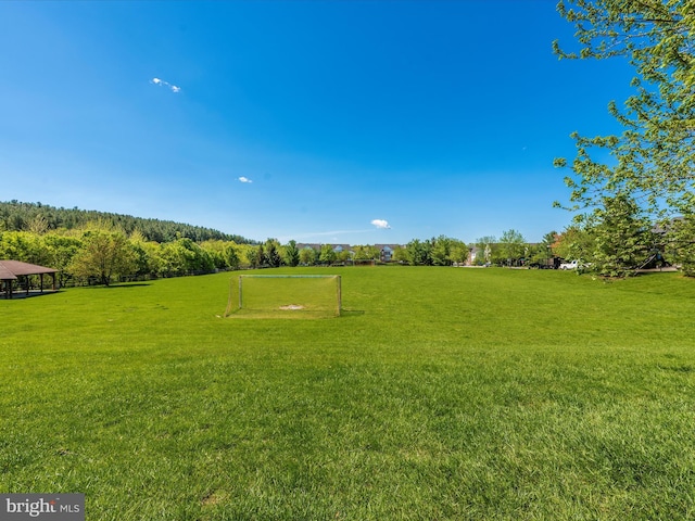 view of yard with a sport area